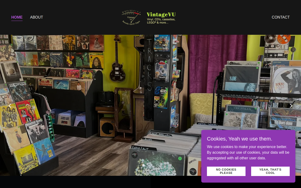 The Vintage VU website preview