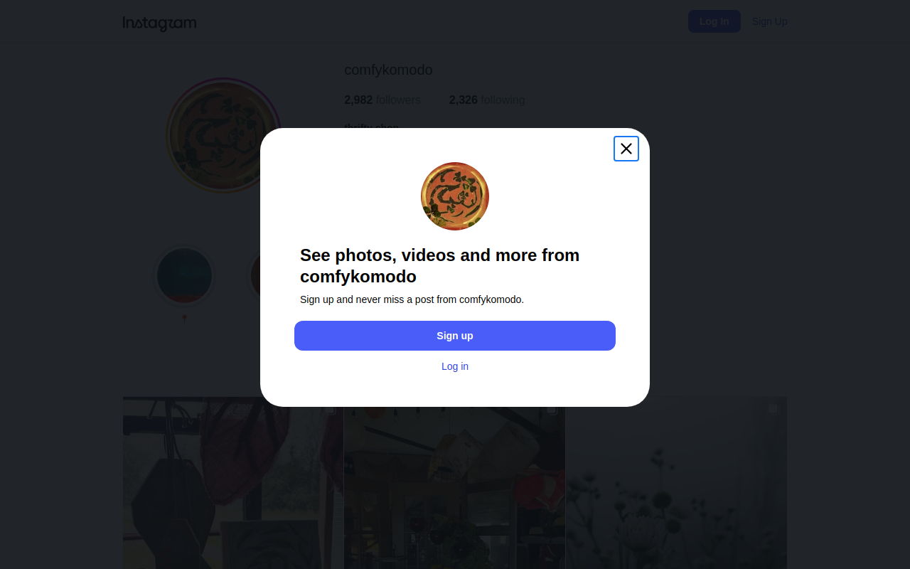 Comfy Komodo website preview