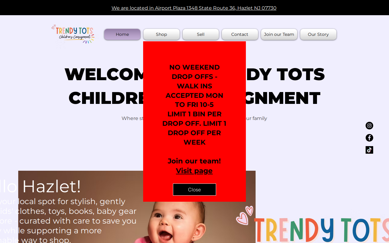 Trendy Tots Children's Consignment website preview