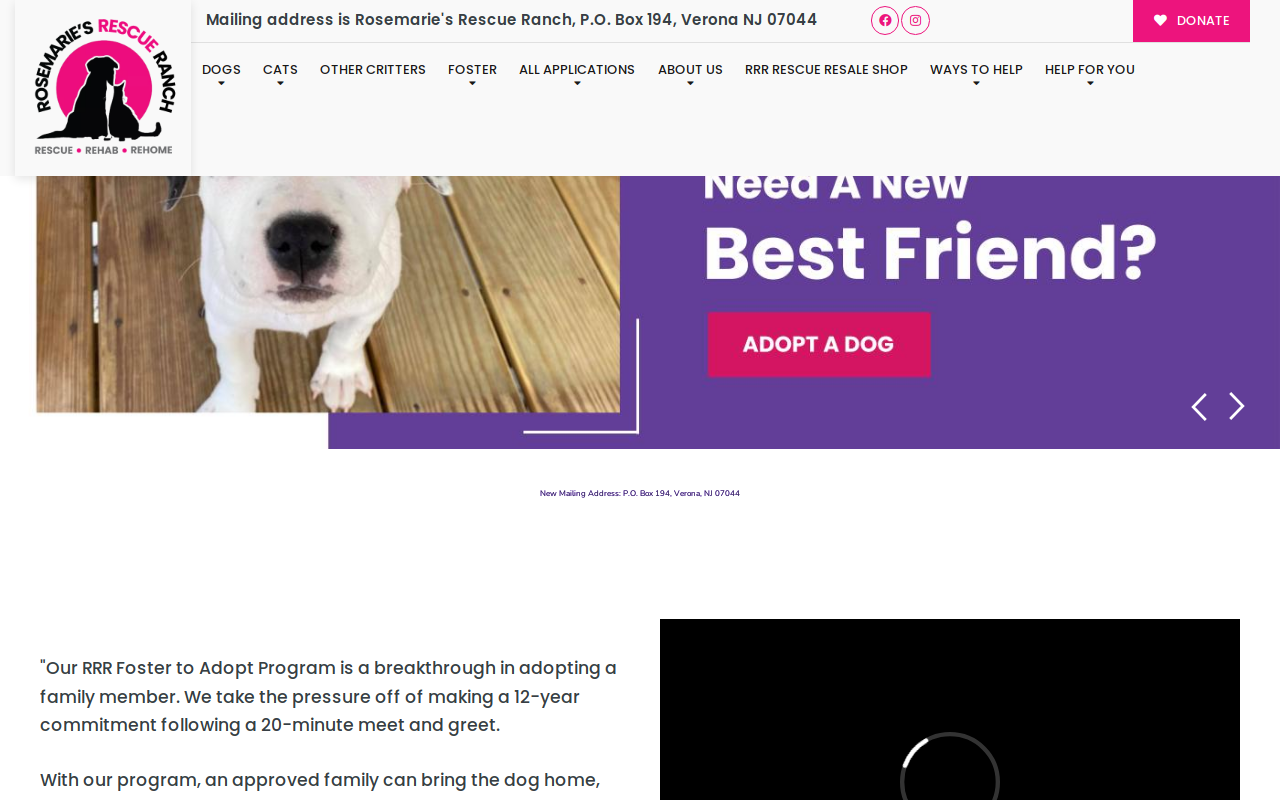 Rosemarie's Rescue Resale Shop website preview