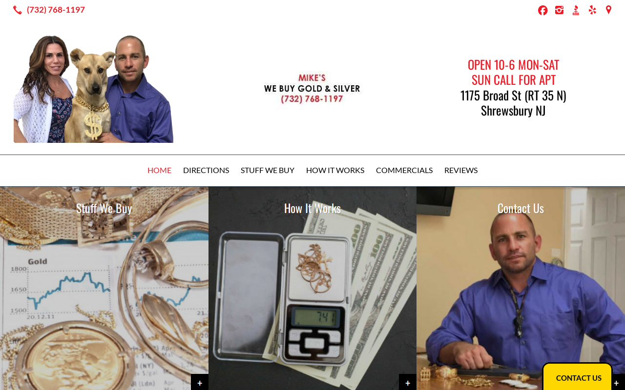 Mike's We Buy Gold and Silver website preview