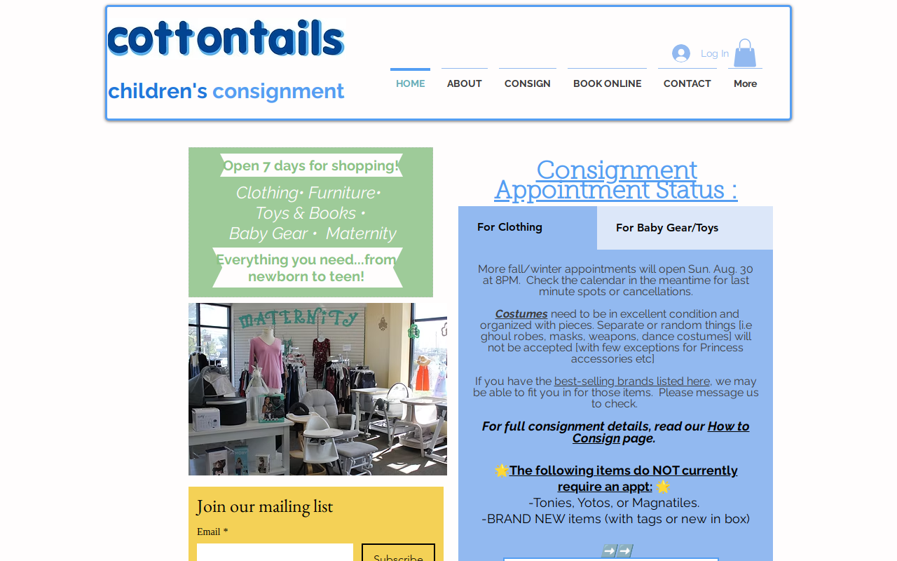 Cottontails Children's Consignment website preview