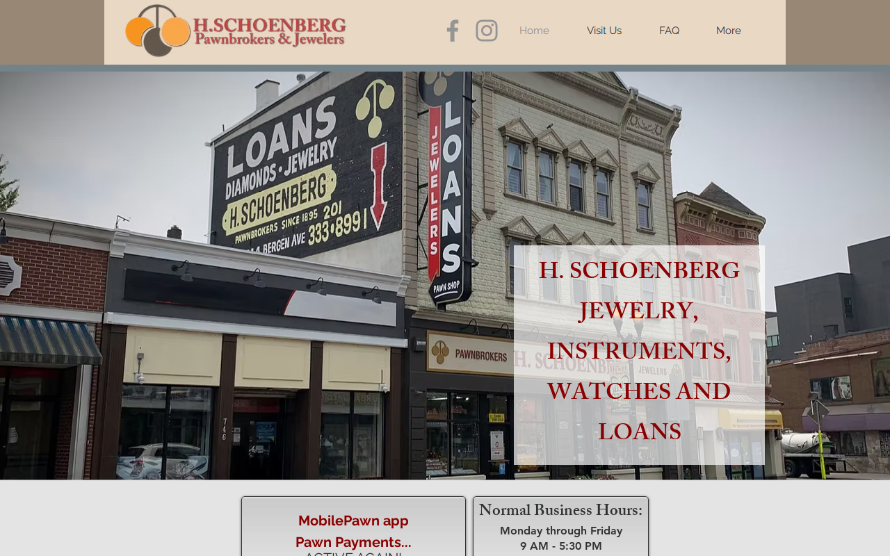 H. Schoenberg website preview