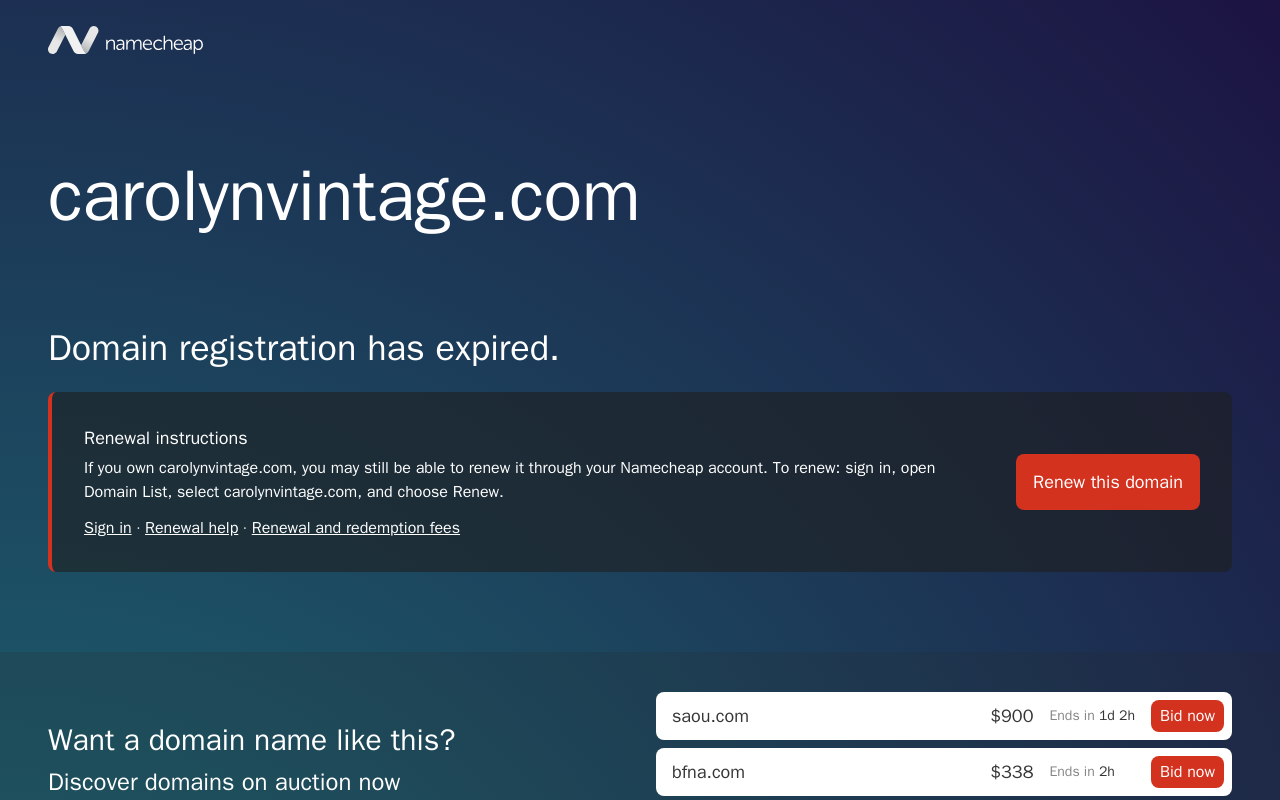 Carolyn Vintage website preview