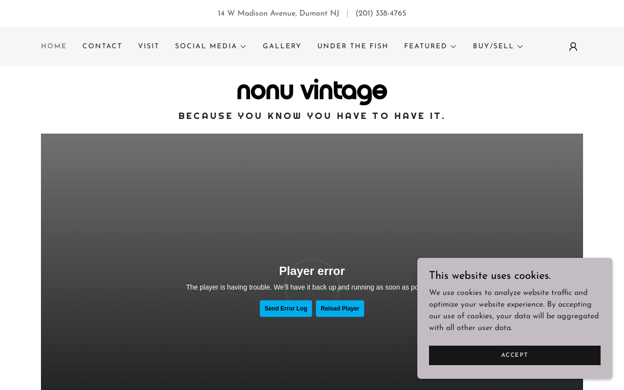 nonu vintage website preview