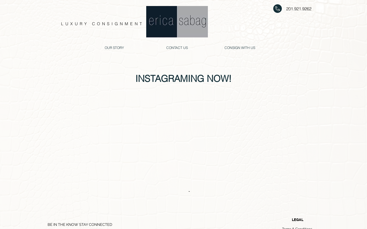 Erica Sabag Luxury Consignment website preview