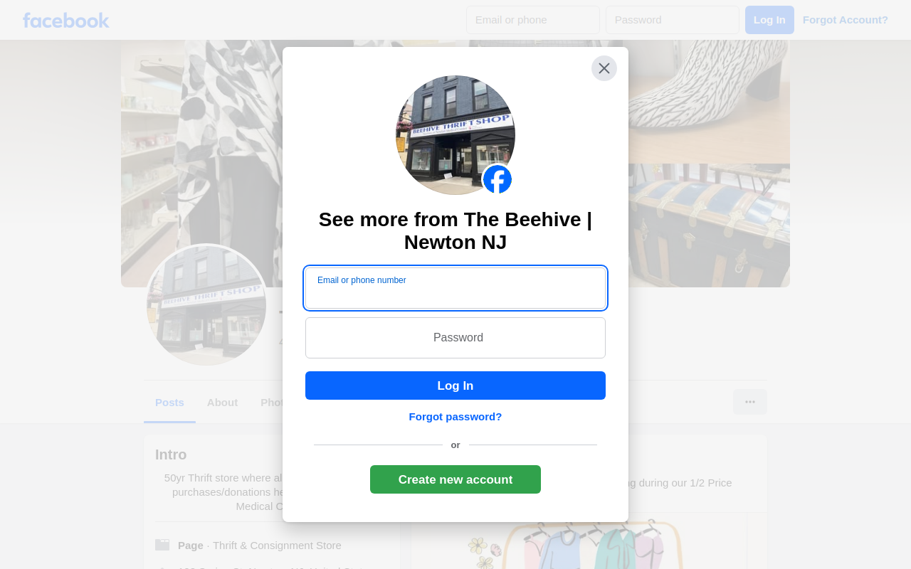 Beehive Thrift Shop website preview