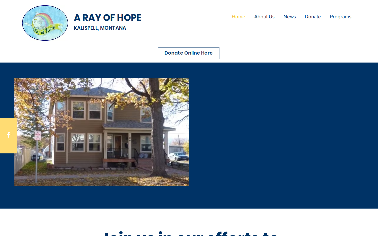 Ray Of Hope Thrift Store website preview