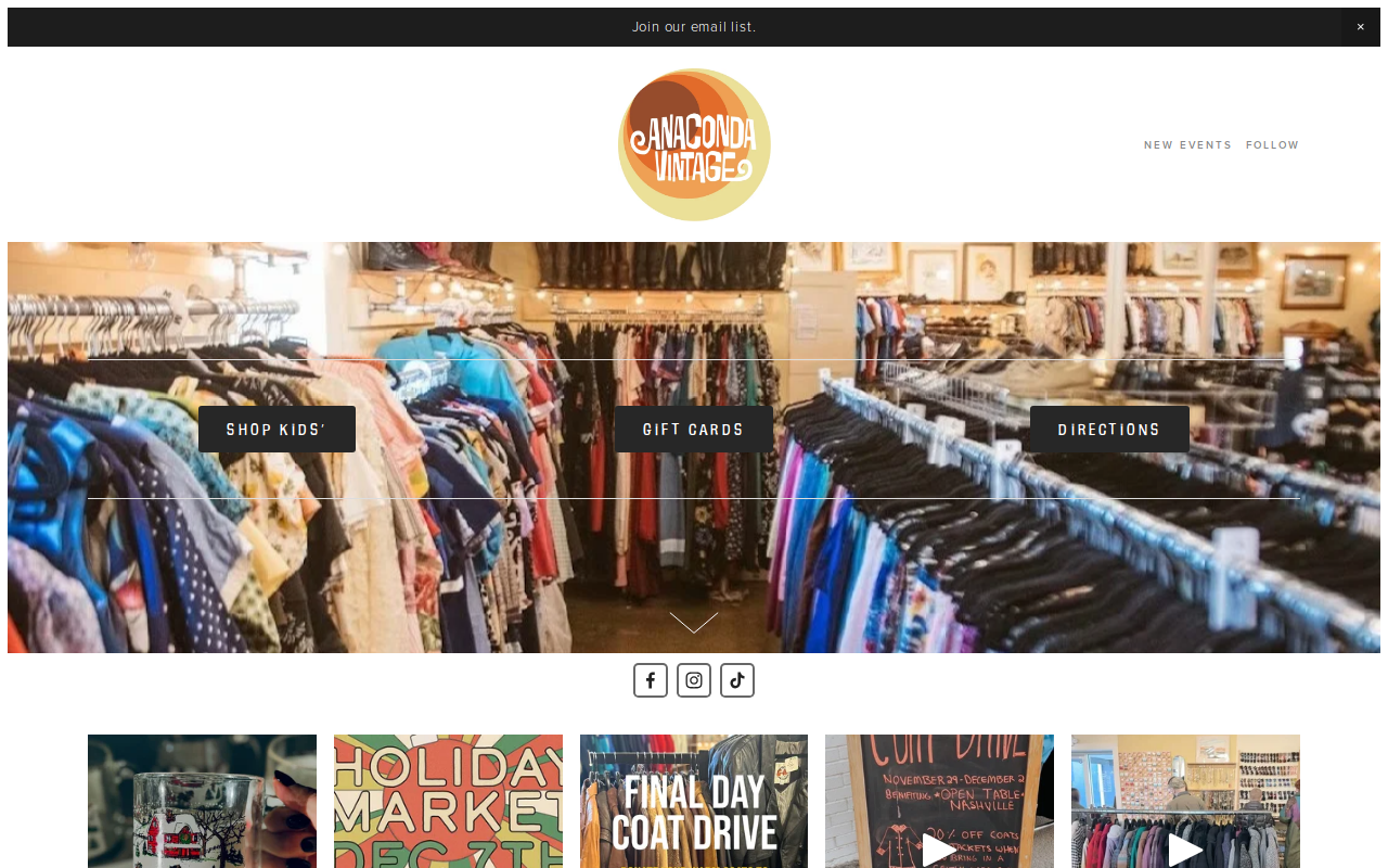 Anaconda Vintage website preview