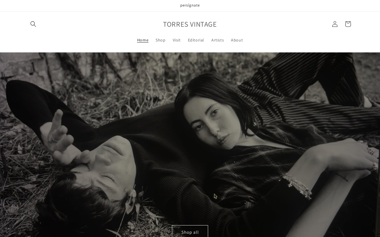 Torres Vintage website preview