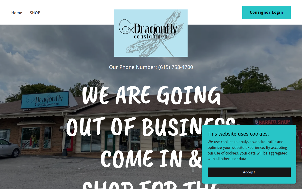 The Dragonfly Consignment Shop website preview
