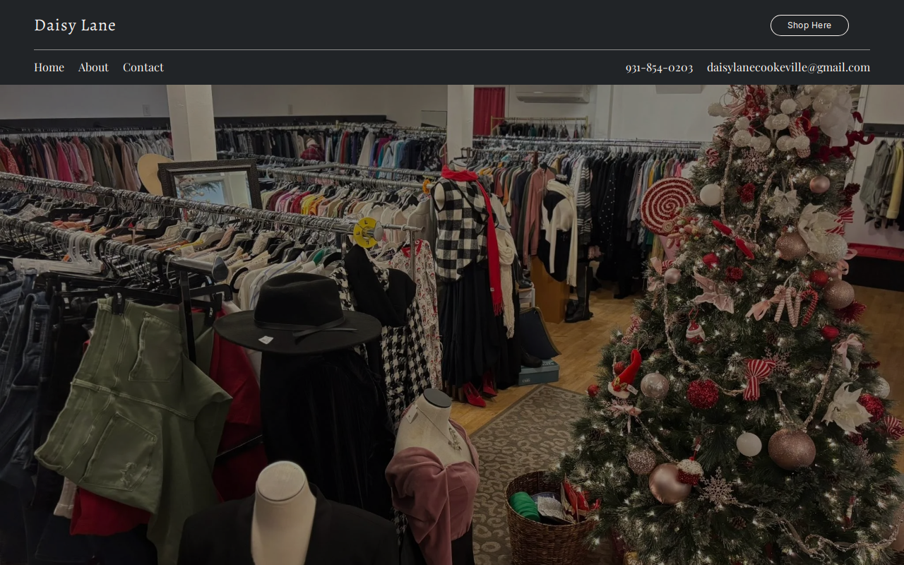 Daisy Lane Boutique website preview