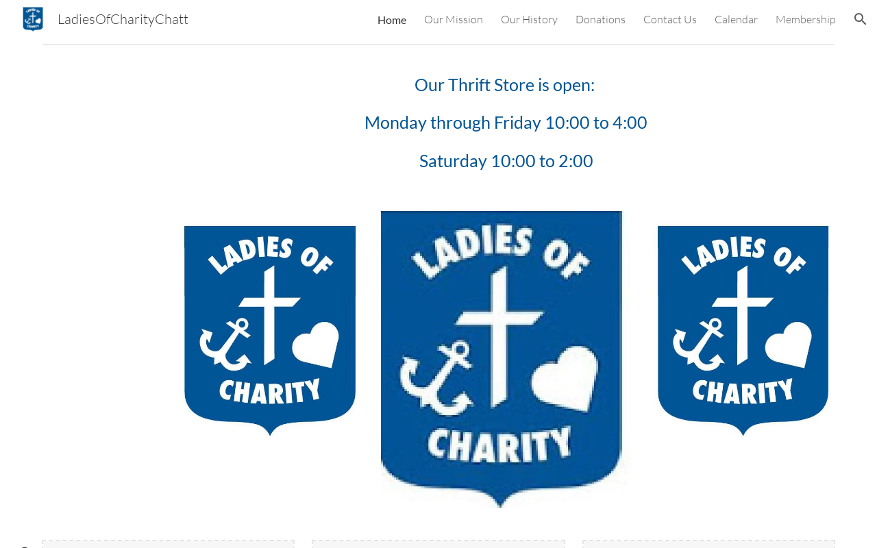 Ladies of Charity Thrift Store website preview