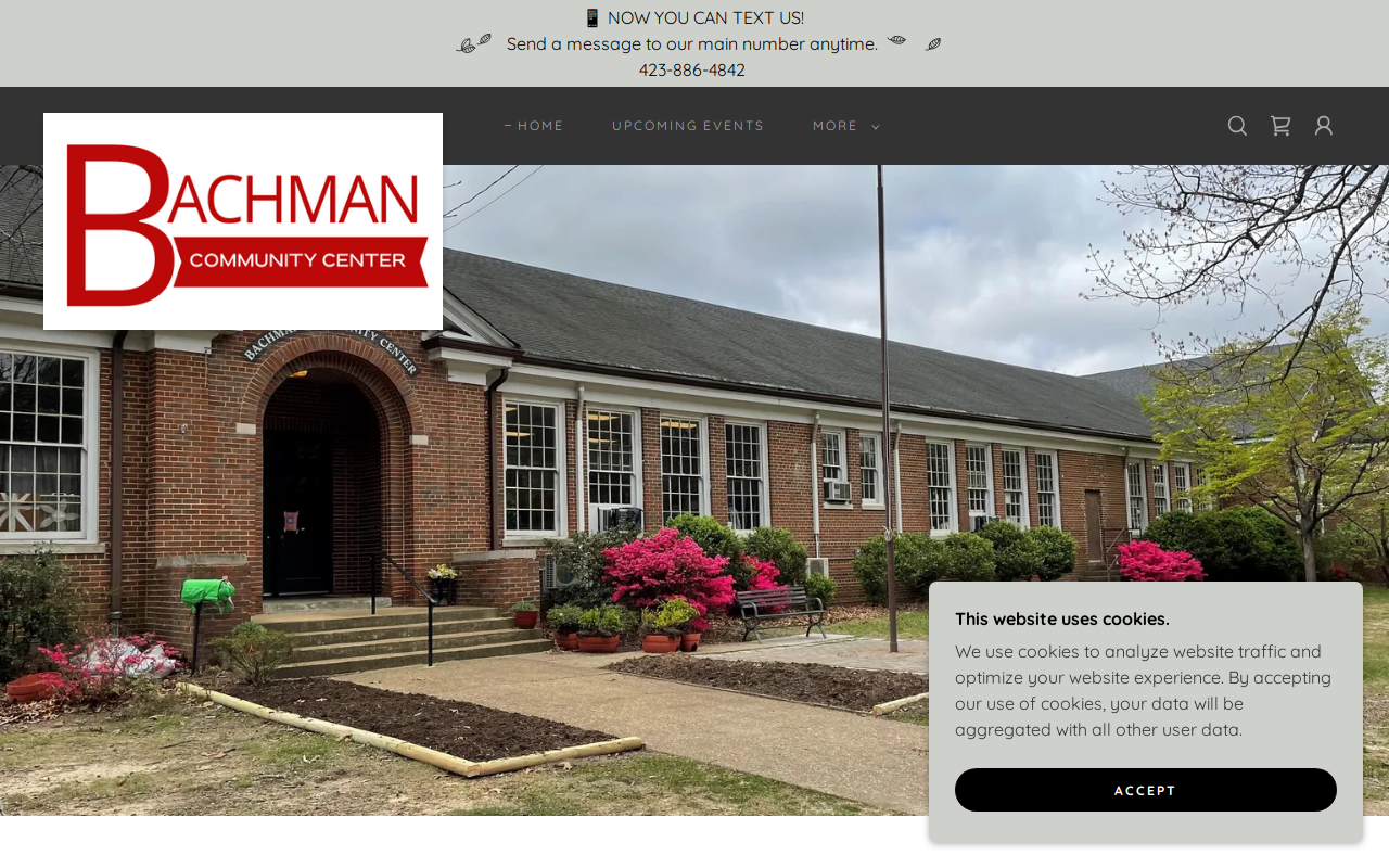 Bachman Bargains website preview