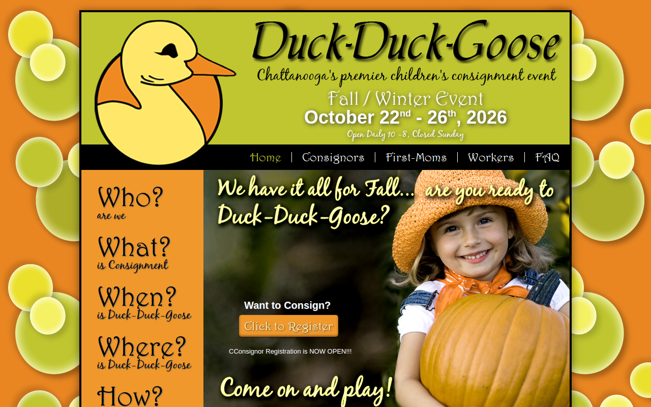 Duck Duck Goose- Chattanooga website preview