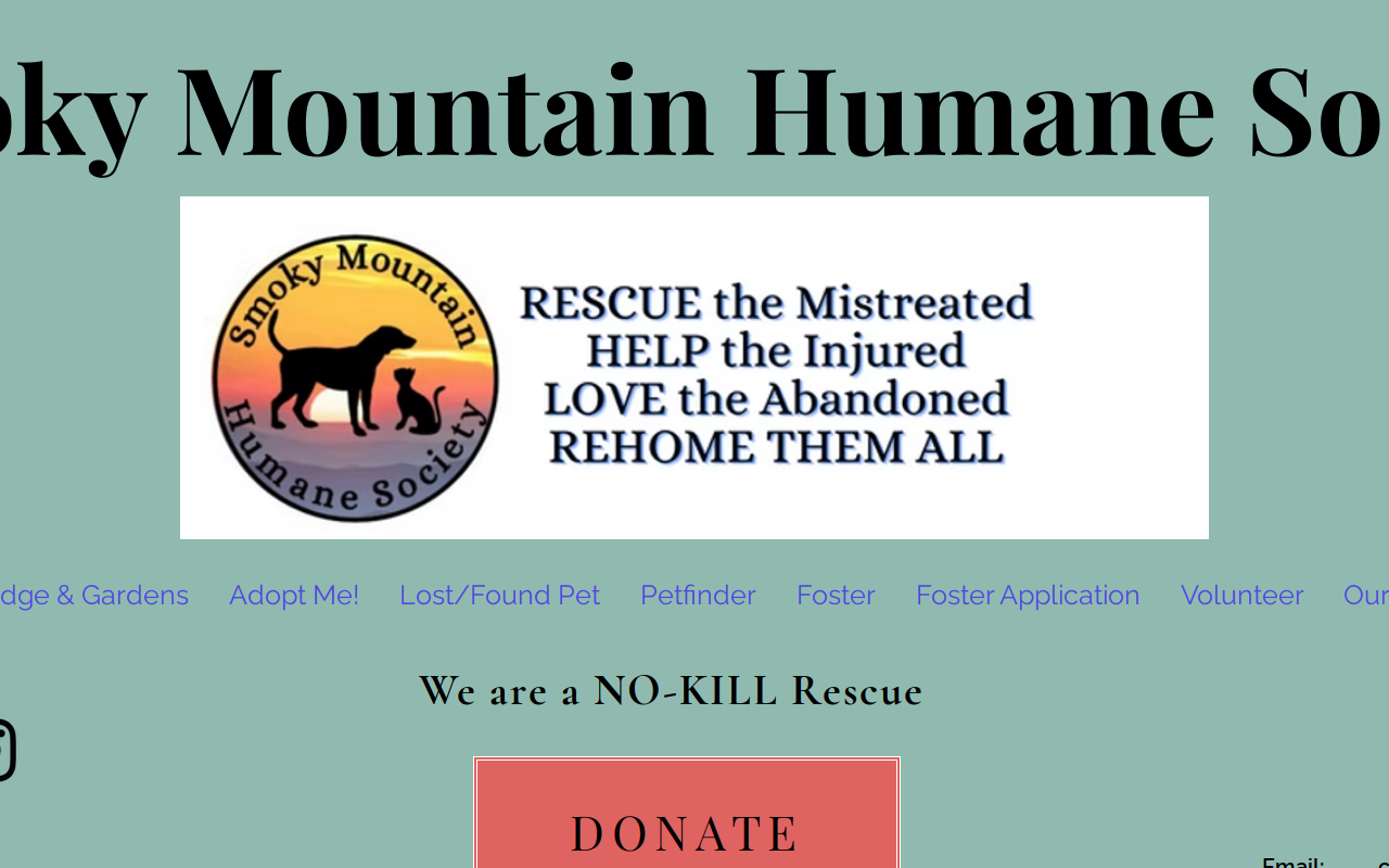 The Friends Animal Shelter Thrift Shop website preview