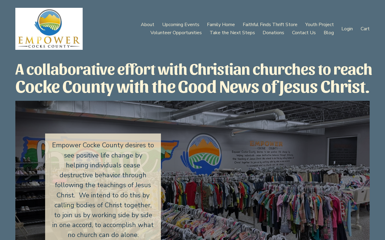 Empower Cocke County Buy the Pound Thrift Store website preview