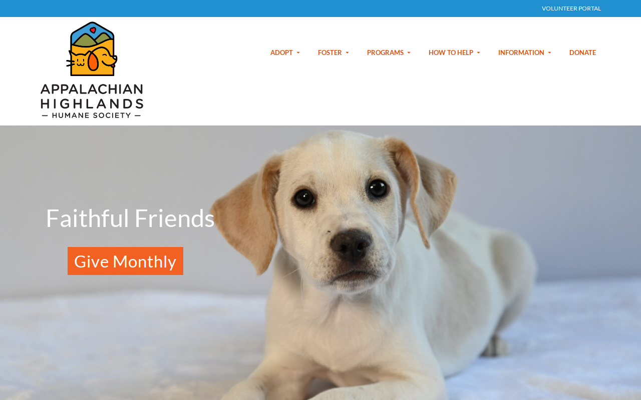 Wags to Riches Thrift Store website preview
