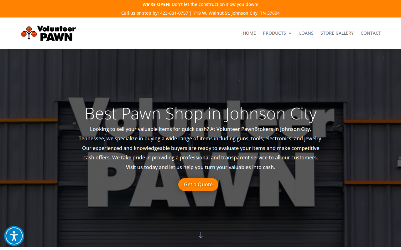 Volunteer Pawn website preview