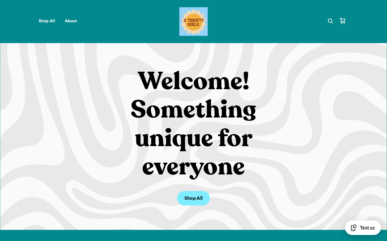 2 Thrifty Girls website preview