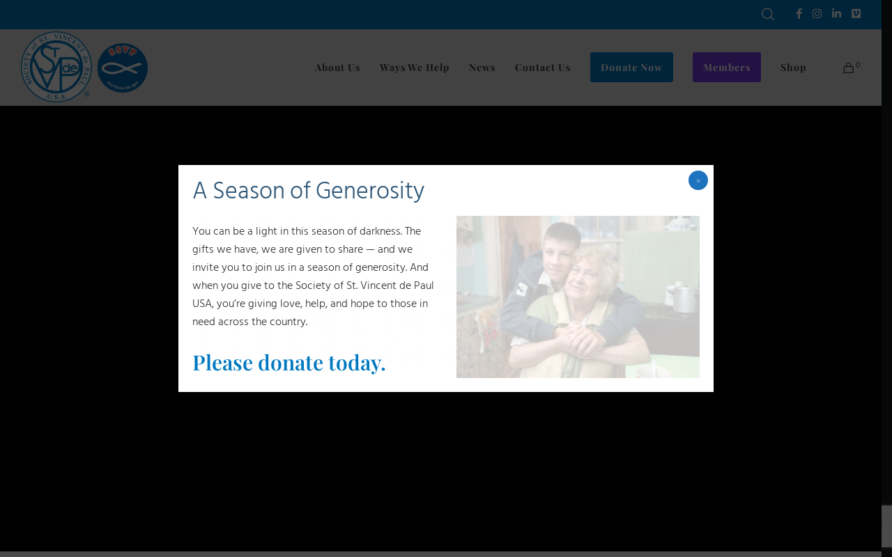 St Vincent De Paul Village website preview