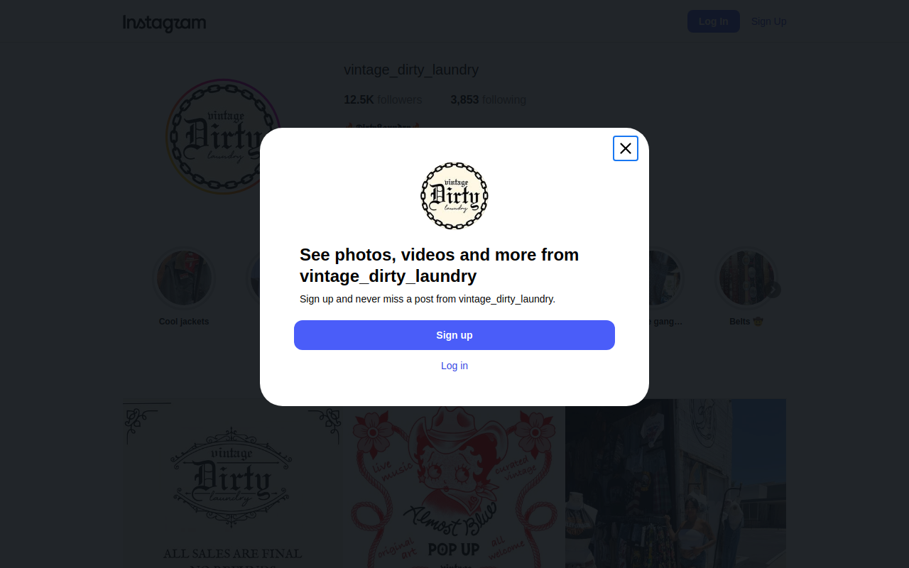 Vintage Dirty Laundry website preview