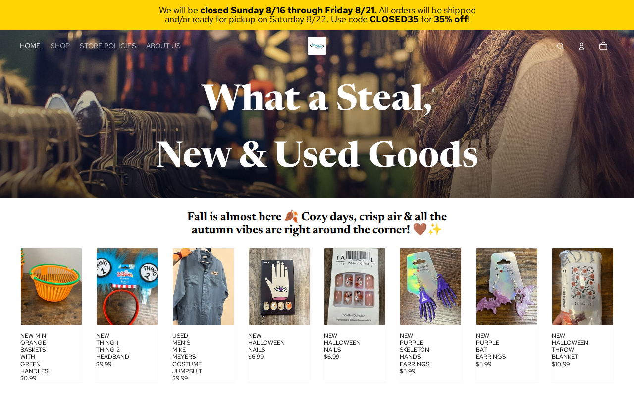 What a Steal, New & Used Goods website preview