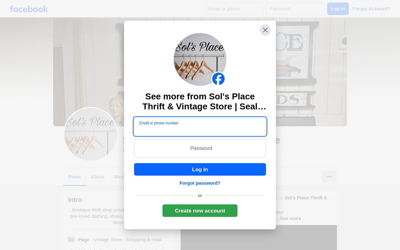 Sol's Place Thrift & Vintage website preview