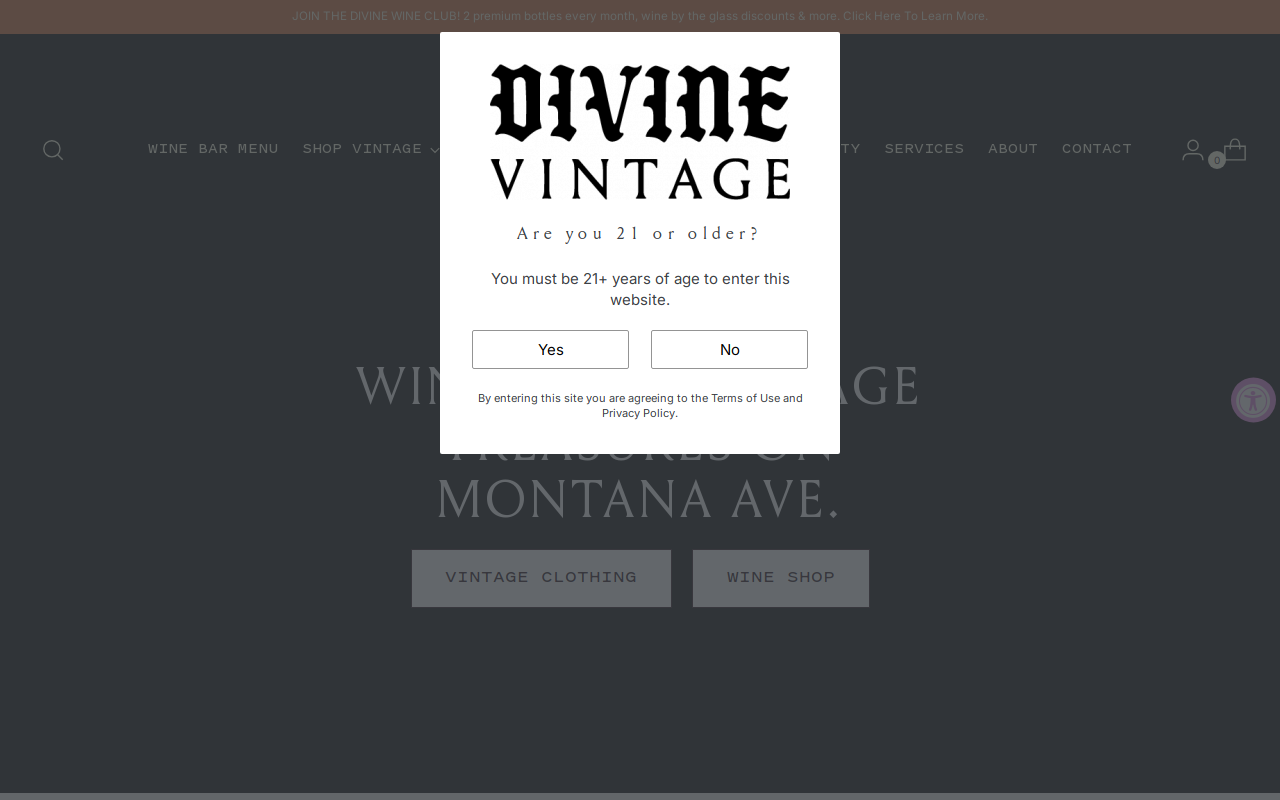 Divine Vintage Wine Bar & Shop website preview