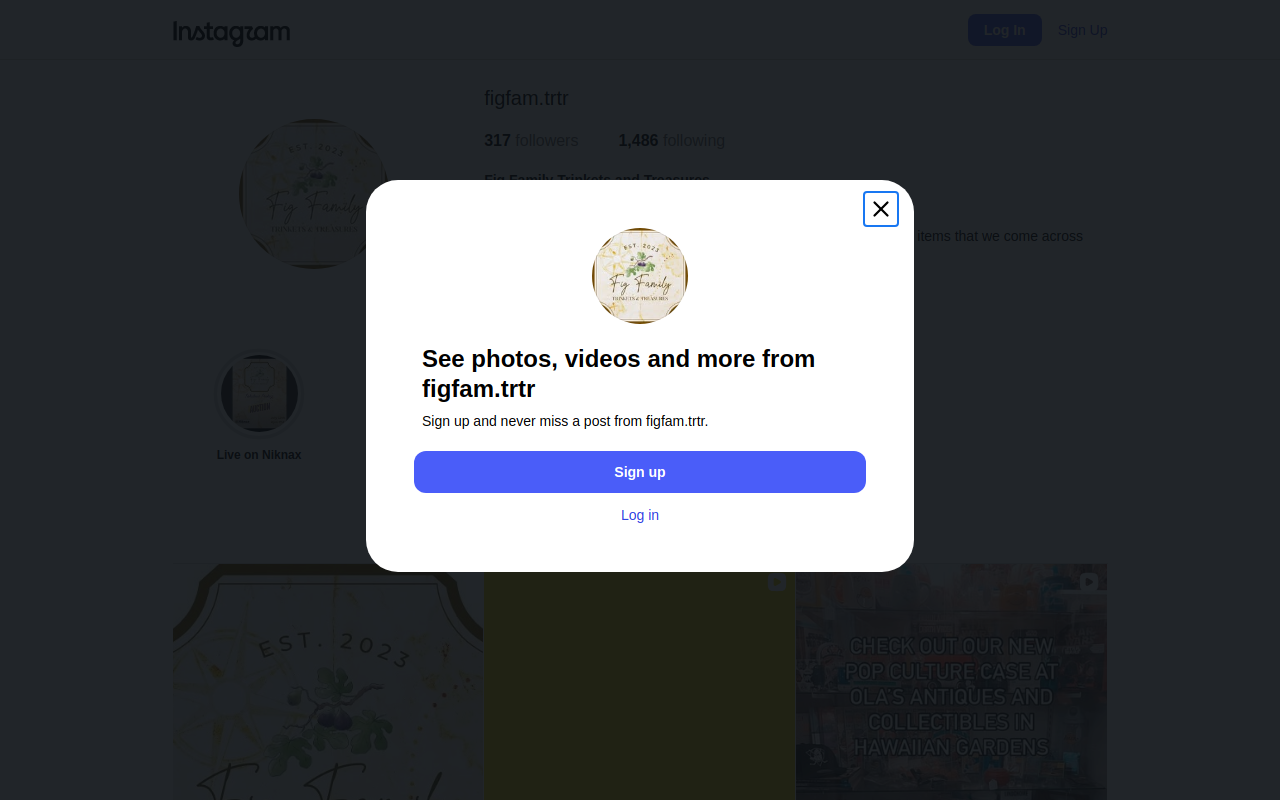 Fig Family Trinkets and Treasures website preview
