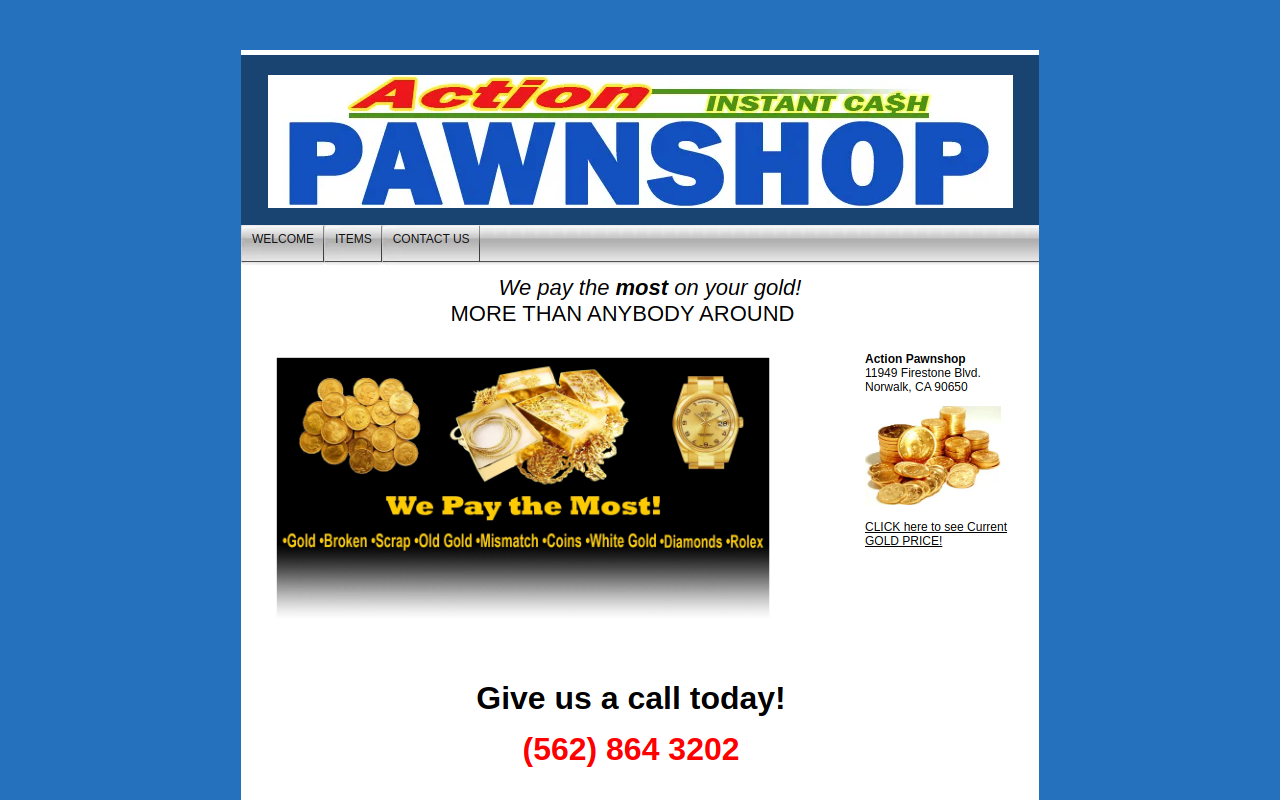 Action Pawn website preview