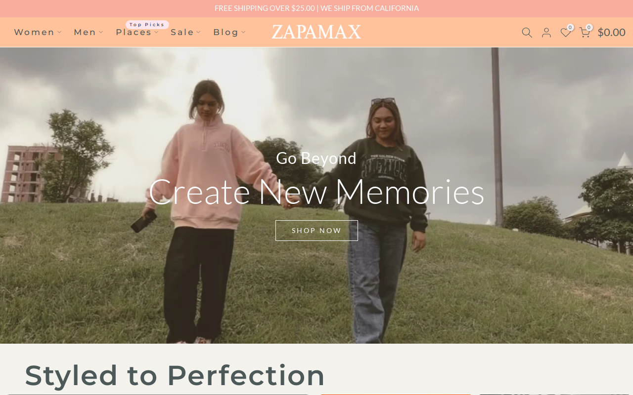 Zapamax website preview