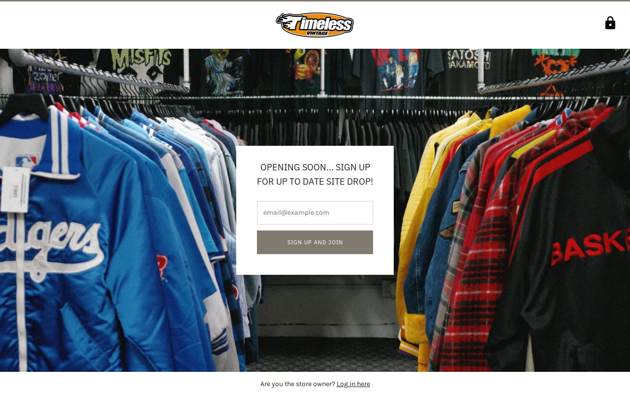 Timeless Vintage website preview