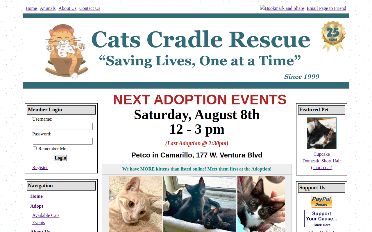 Cats Cradle Rescue website preview