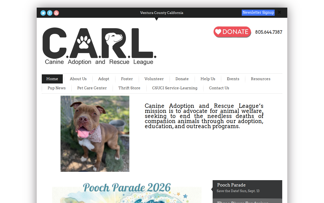 C.A.R.L. Boutique Thrift Store website preview