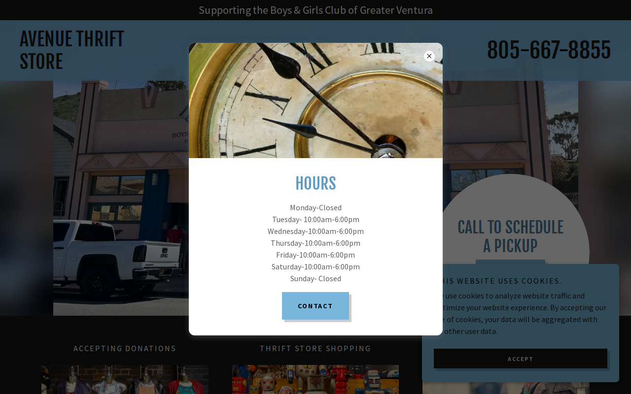 Avenue Thrift website preview