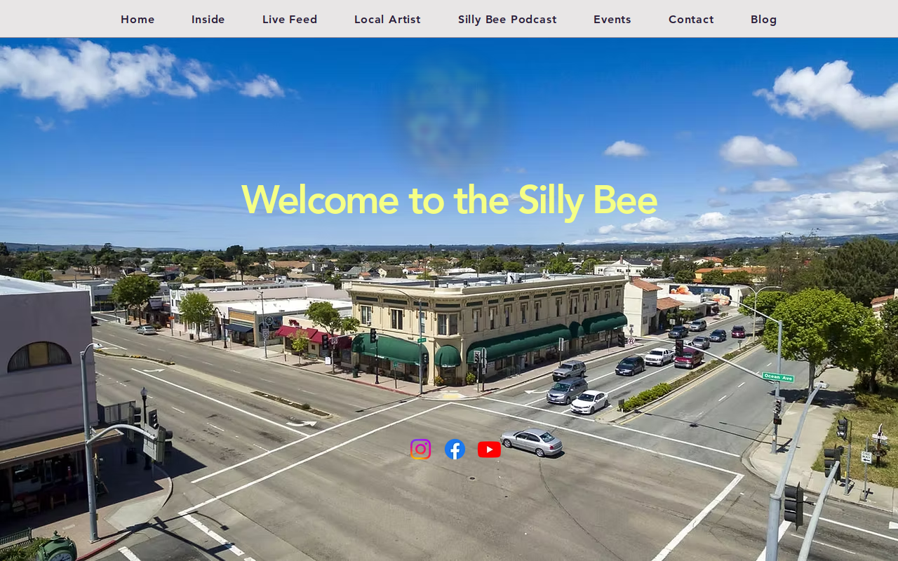 The Silly Bee LLC website preview