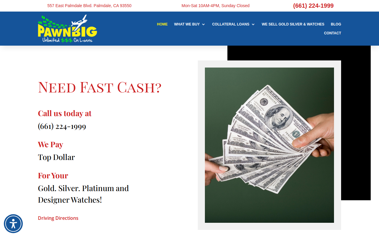 Pawn Big website preview