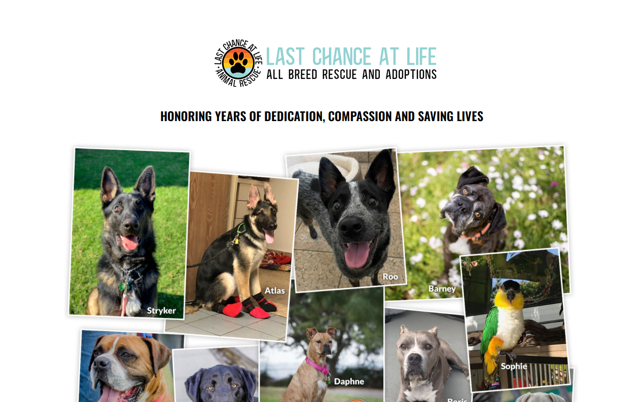 Last Chance at Life website preview