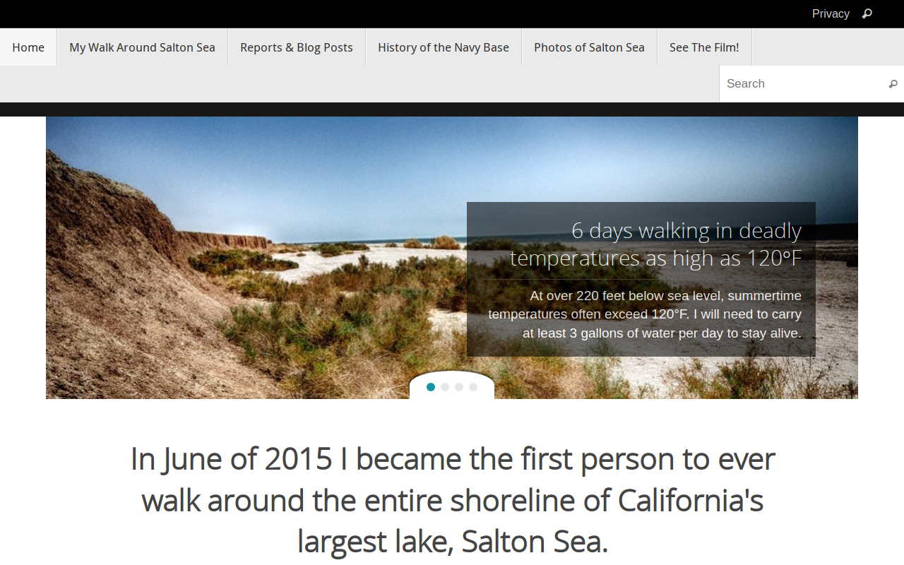 Salton Sea Beach Thrift Store website preview