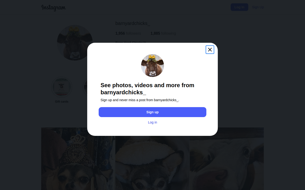 The Barn Yard website preview