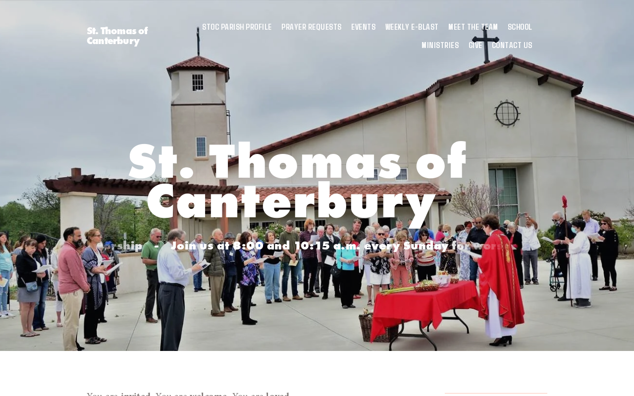 Saint Thomas Thrift Shop website preview