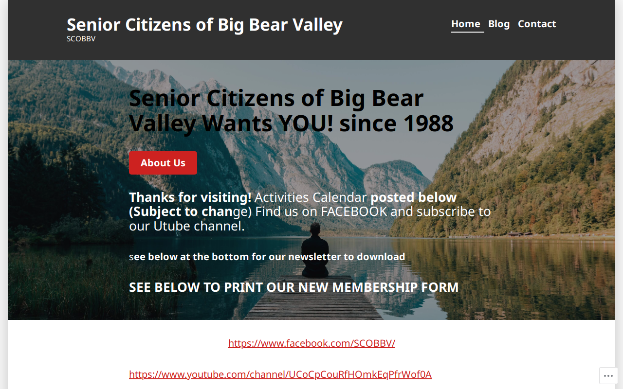 Senior Citizens Thrift Store website preview