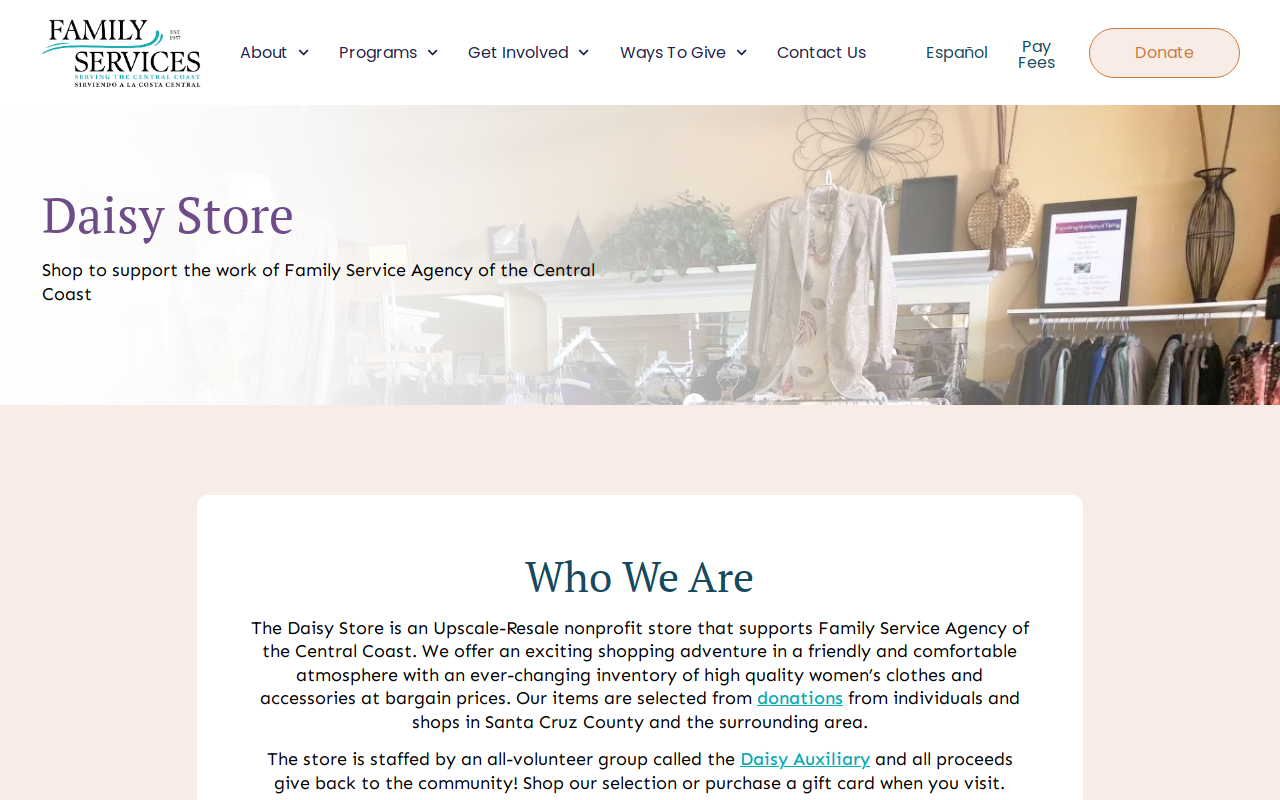 The Daisy Store website preview