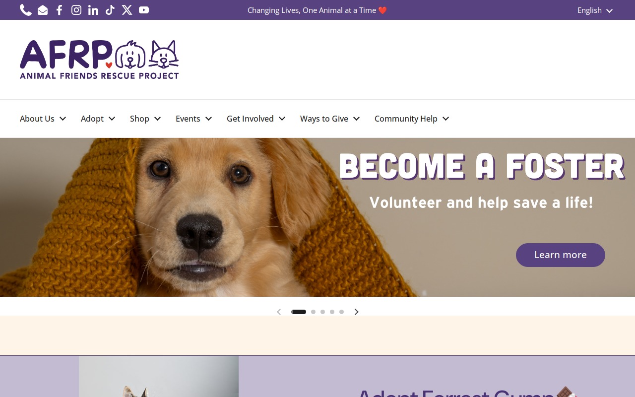 AFRP Treasure Shop website preview