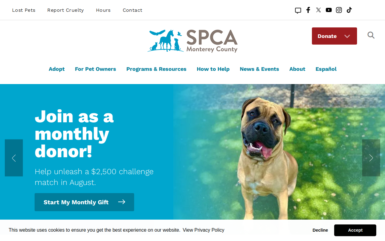 Spca Benefit Shop website preview