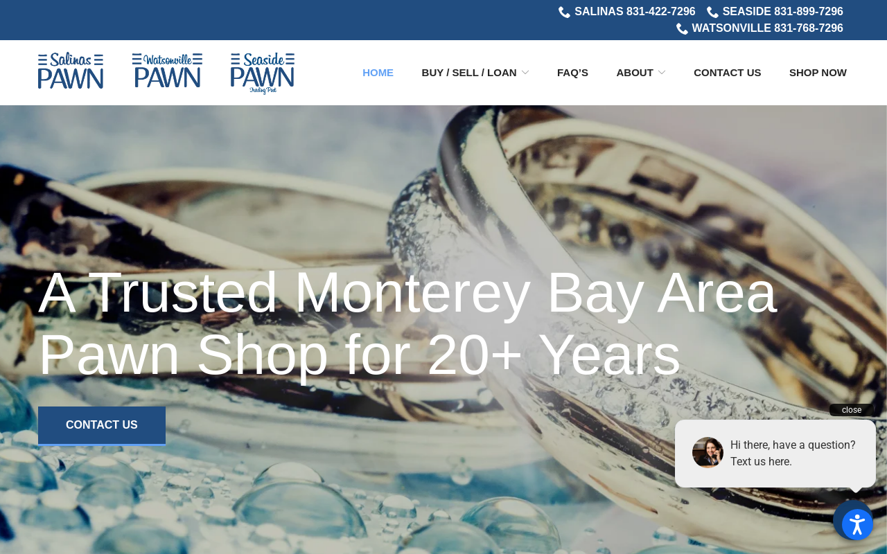 Salinas Pawn website preview