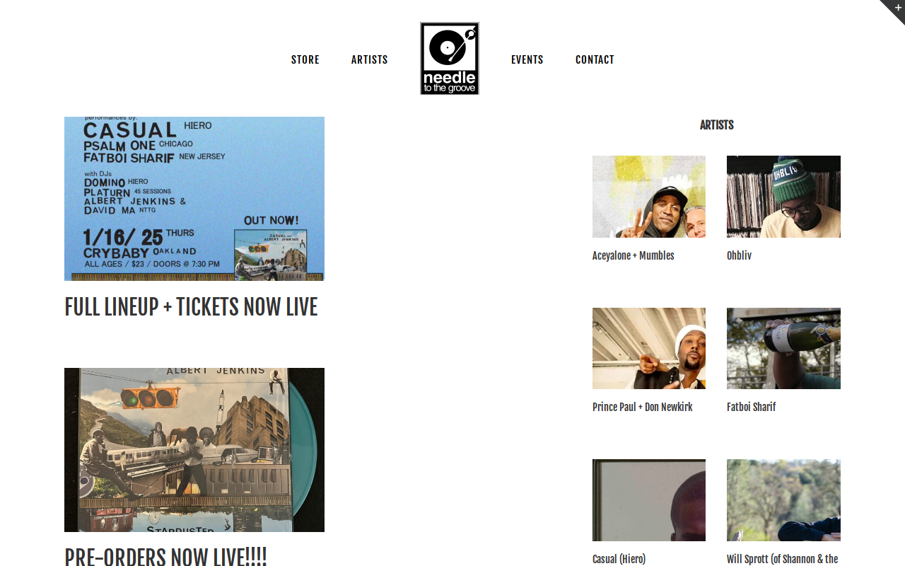 Needle To The Groove Record Shop website preview