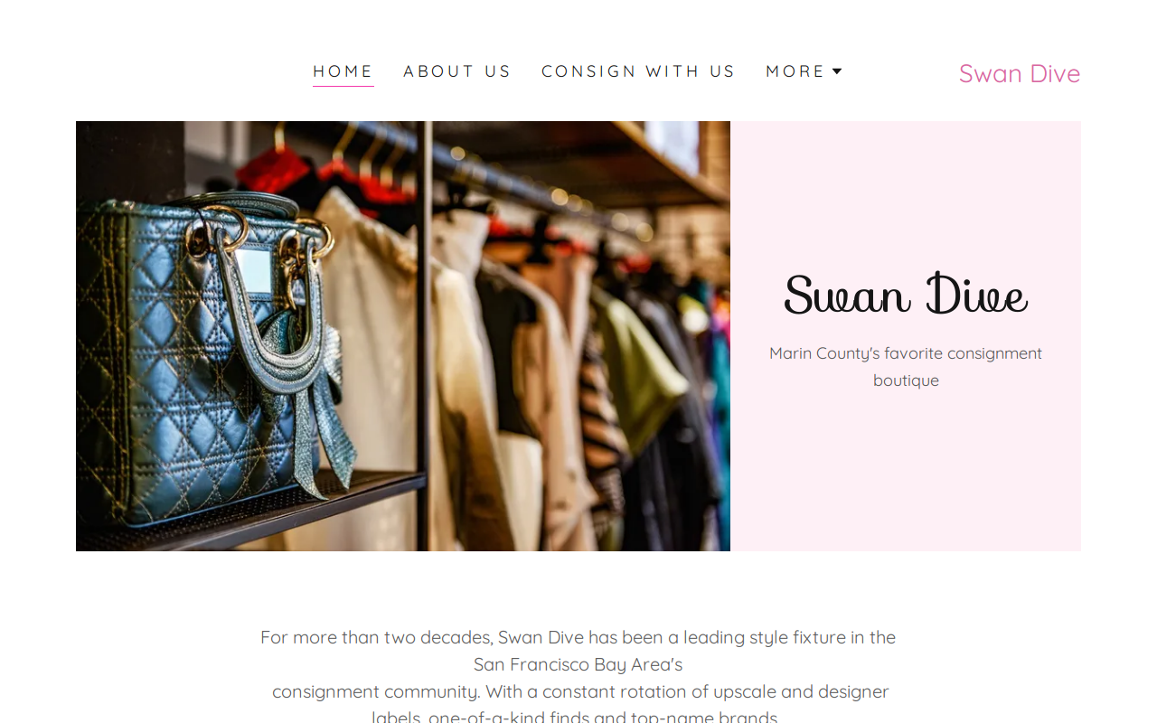 Swan Dive website preview