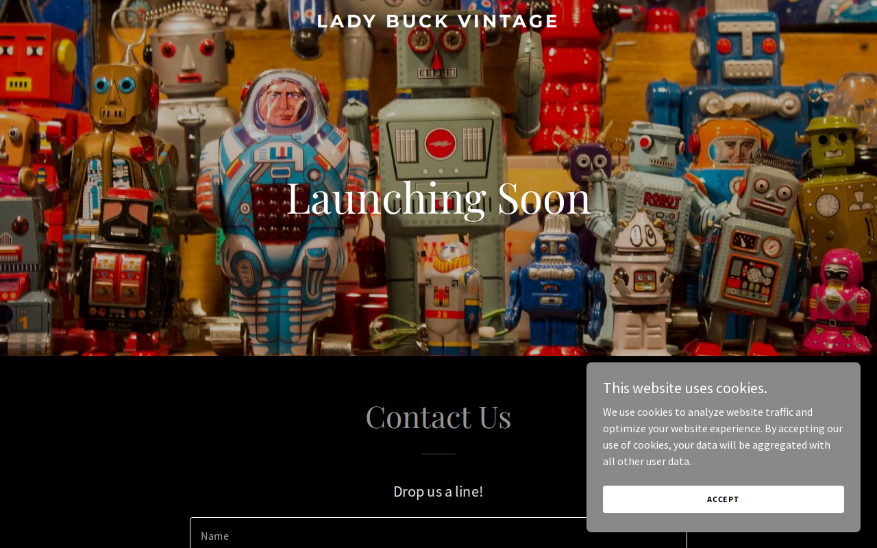 Lady Buck Vintage website preview